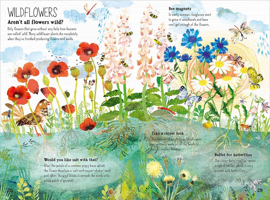 The Big Book Of Blooms (Hardcover)