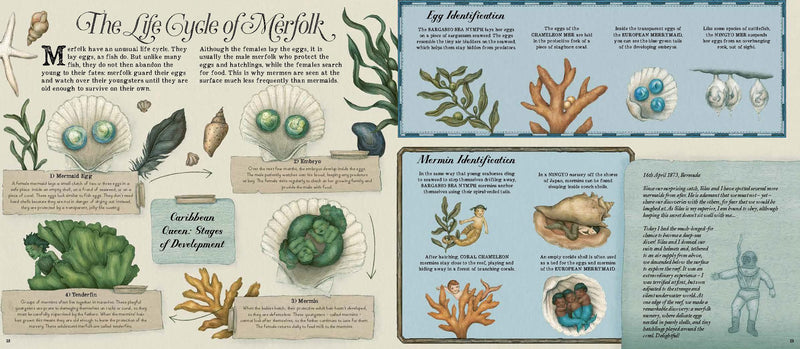 A Natural History of Mermaids (Hardcover) by Emily Hawkins & Jessica Roux 5yrs+