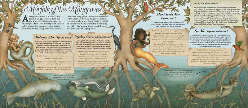 A Natural History of Mermaids (Hardcover) by Emily Hawkins & Jessica Roux 5yrs+