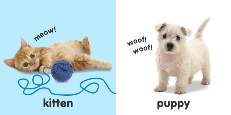 Baby Touch and Feel Animals (Board Book) Kids Book Baby Gifts Idea