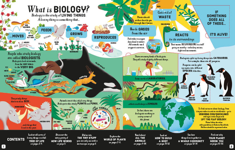 Lift-the-Flap Biology (Board Book) Science STEM Book Kids Book