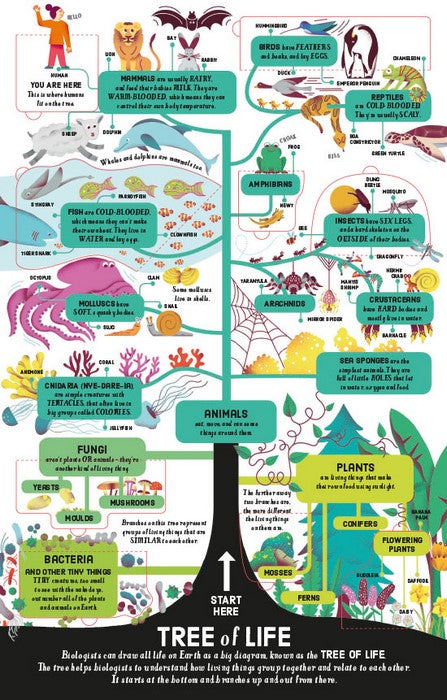 Lift-the-Flap Biology (Board Book) Science STEM Book Kids Book