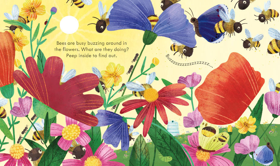 Peep Inside A Beehive (Board Book)
