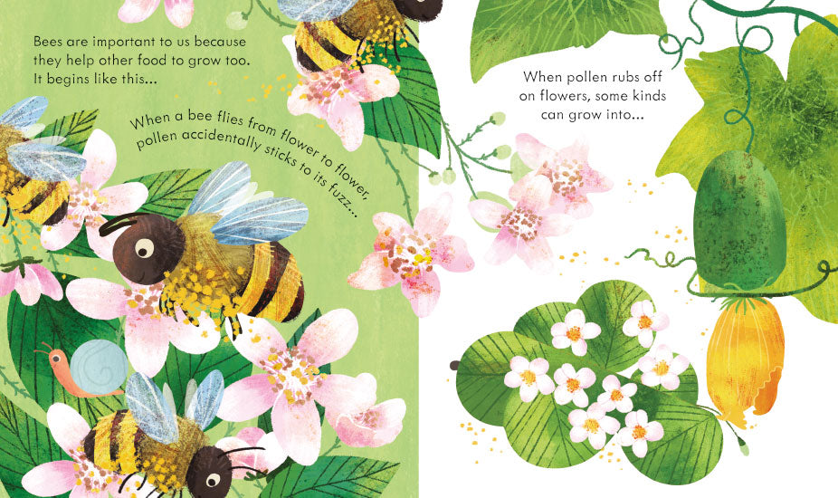 Peep Inside A Beehive (Board Book)