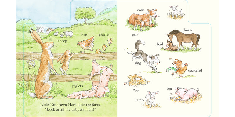Guess How Much I Love You Out and About in 100 words (Board Book) by Sam McBratney Kids Picture Book