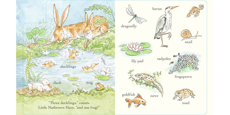 Guess How Much I Love You Out and About in 100 words (Board Book) by Sam McBratney Kids Picture Book