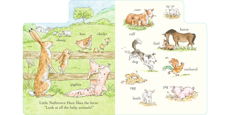 Guess How Much I Love You Out and About in 100 words (Board Book) by Sam McBratney Kids Picture Book