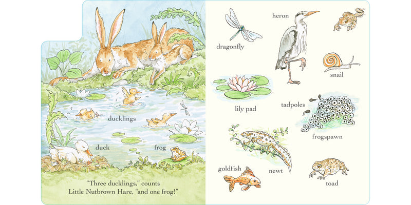 Guess How Much I Love You Out and About in 100 words (Board Book) by Sam McBratney Kids Picture Book