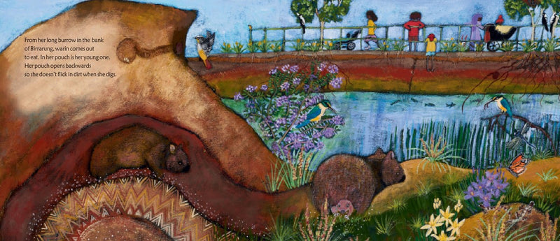 Wilam: A Birrarung Story (Board Book) by Andrew Kelly, Aunty Joy Murphy, Lisa Kennedy, First Nations Kids Book Australian Authors