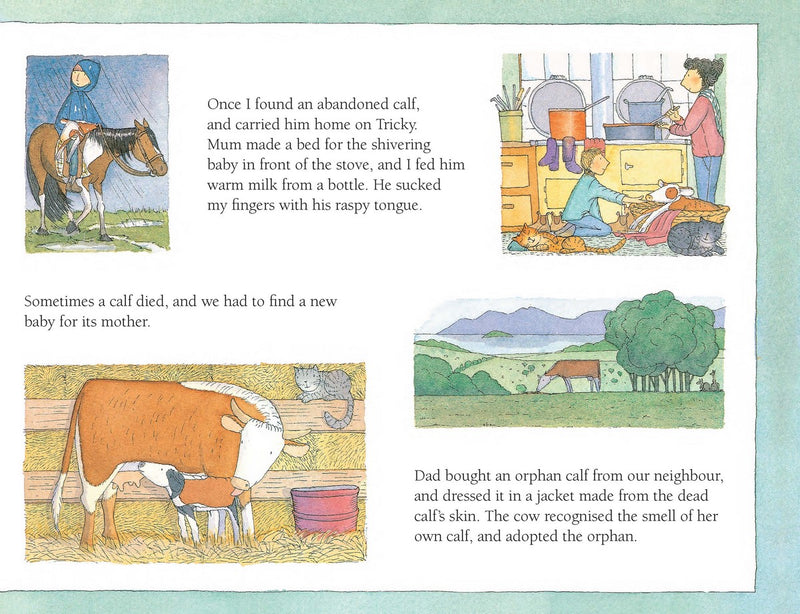My Farm 30th Anniversary Edition (Hardcover) by Alison Lester: Farm Animal Toys