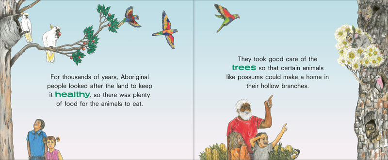 Animals on Country: Let's Look After the Animals with Uncle Kuu (Hardcover) by Victor Steffensen First Nations Kids Book