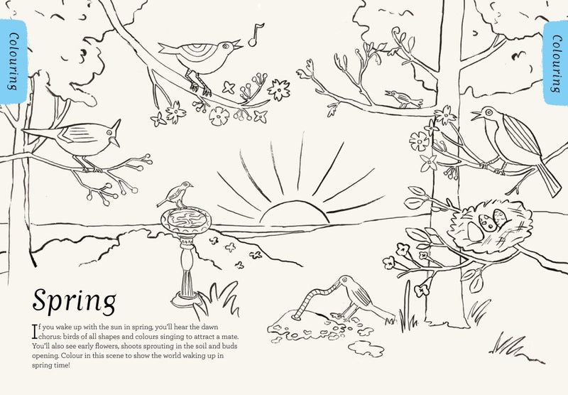 Nature's Day:  Out and About (Paperback): Nature Kids Book