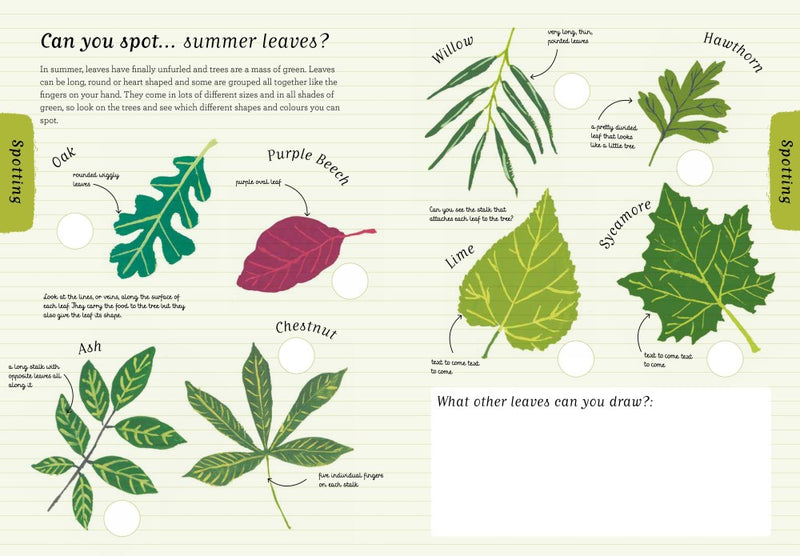 Nature's Day:  Out and About (Paperback): Nature Kids Book