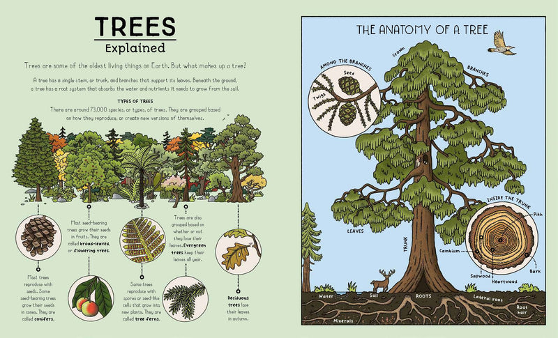Nature Explained A Family Guide to 20 Nature Cycles (Hardcover) by Helen Brown Magic Cat