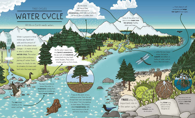 Nature Explained A Family Guide to 20 Nature Cycles (Hardcover) by Helen Brown Magic Cat