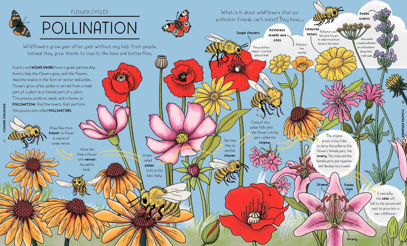 Nature Explained A Family Guide to 20 Nature Cycles (Hardcover) by Helen Brown Magic Cat