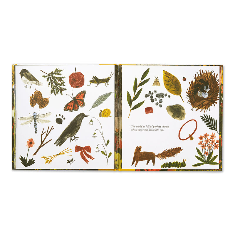 Tiny, Perfect Things (Hardcover) by M.H Clark, Madeline Kloepper - Mindfulness Kids Picture Book