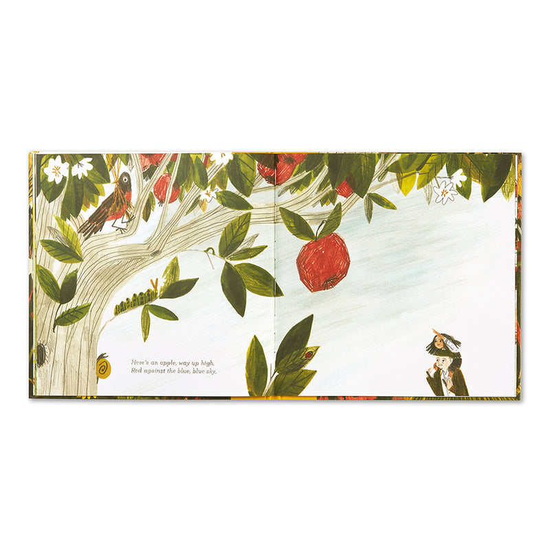 Tiny, Perfect Things (Hardcover) by M.H Clark, Madeline Kloepper - Mindfulness Kids Picture Book