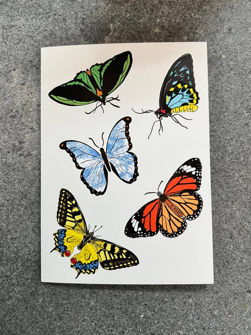 Hand-Illustrated Butterfly Greeting Card By Timber Kids