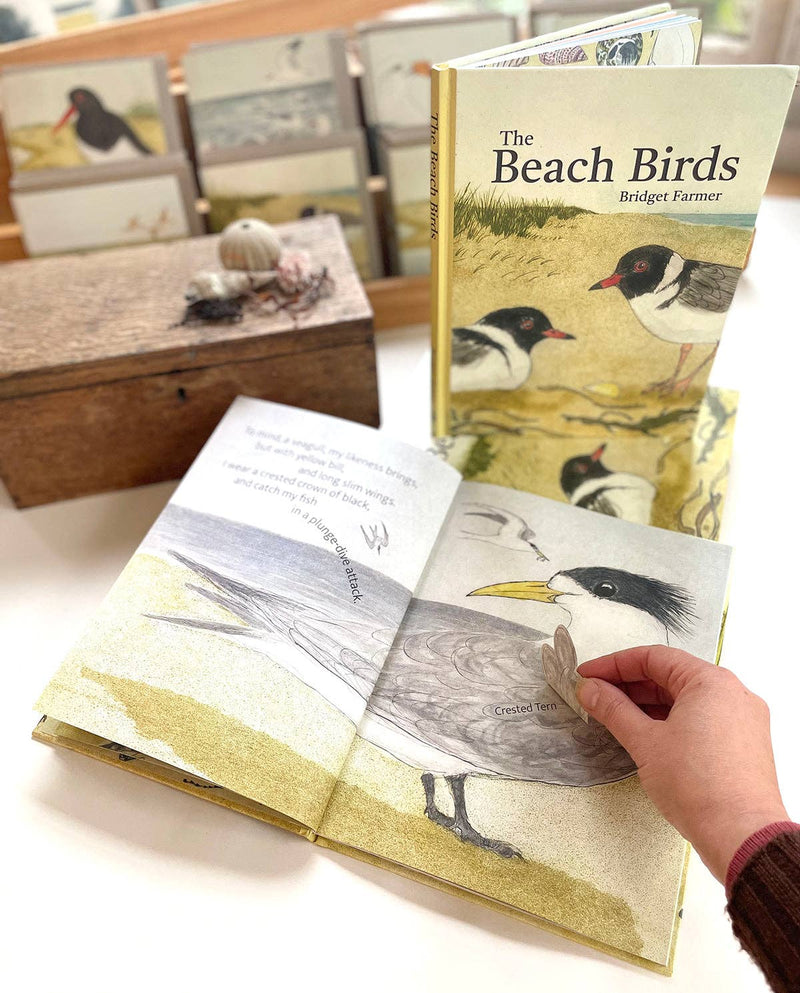 Bridget Farmer Printmaker The Beach Birds Children's Lift The Flap Book Australian Animals