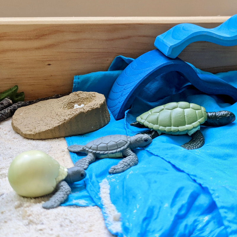 Life Cycle of A Green Turtle Montessori Language Toys Animal Figurine Sea Life Collection by Safari Ltd Early Science STEM Turtle Toys 4yrs+