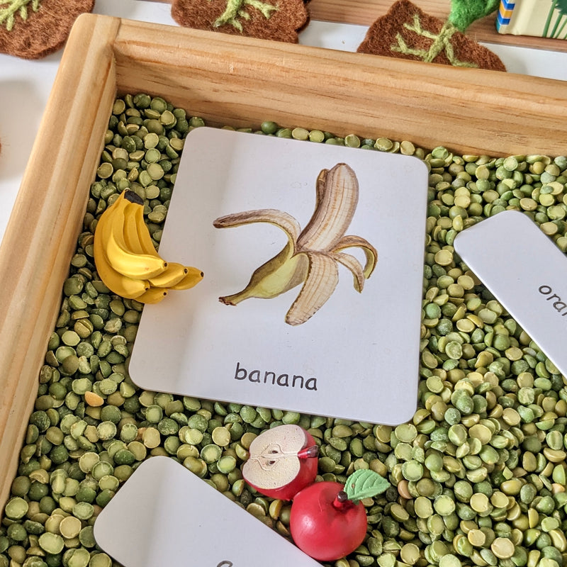 Montessori 3 Part Cards Nomenclature Fruits English