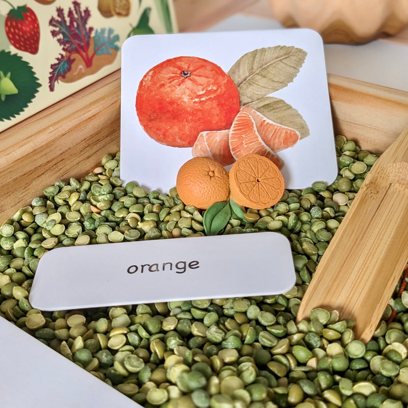 Montessori 3 Part Cards Nomenclature Fruits English