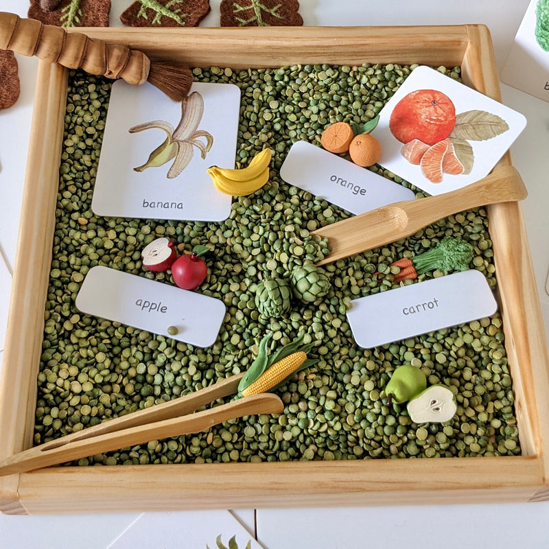 Montessori 3 Part Cards Nomenclature Fruits English