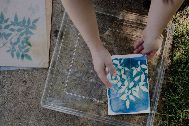My Little Print Studio - Cyanotype Printing Kit