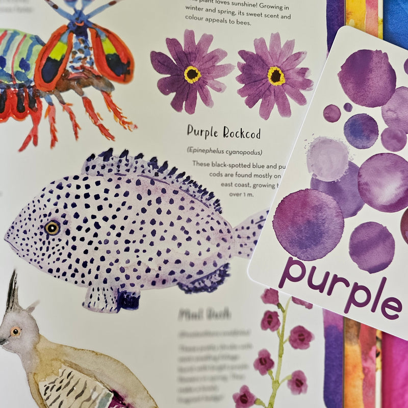 Australia Country Of Colour (Hardcover) by Jess Racklyeft: Kids Picture Book Australian Animals Australian Authors