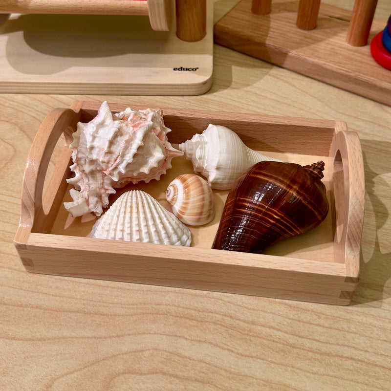 Montessori Wooden Tray Small (16.5 x 10cm) Montessori Practical Life Materials