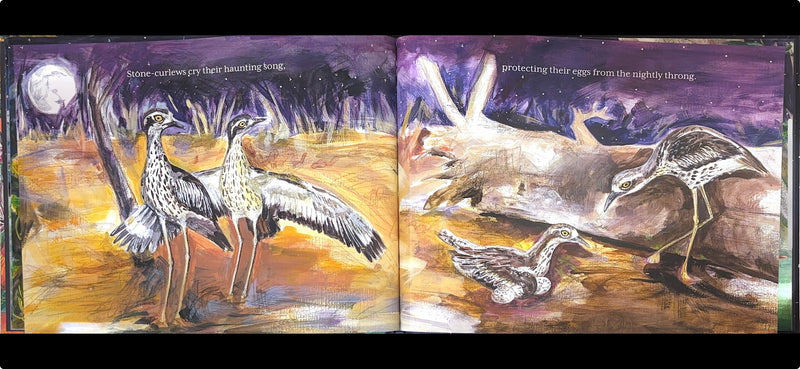 Snuggled Away (Hardcover) by Cate Storey and Sarah Matsuda Australian Animals Kids Picture Book Australian Authors