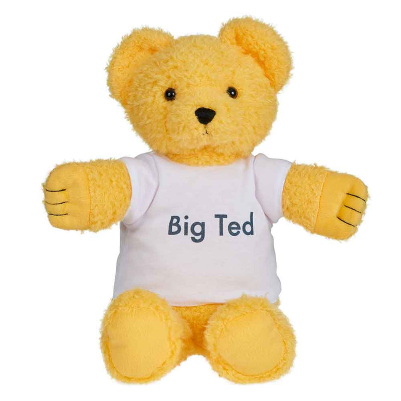 Play School Big Ted Baby Plush Toys Baby Gifts Idea 30cm 0m+