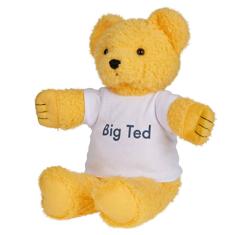 Play School Big Ted Baby Plush Toys Baby Gifts Idea 30cm 0m+