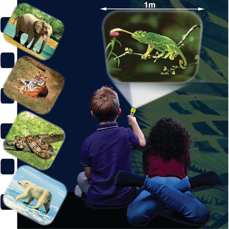 Animal Torch and Projector by Brainstorm Toddler Outdoor Travel Toys Early Science STEM Toys Best Seller 3yrs+