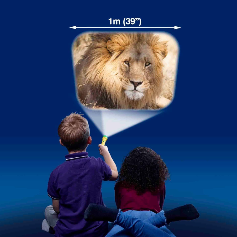 Animal Torch and Projector by Brainstorm Toddler Outdoor Travel Toys Early Science STEM Toys Best Seller 3yrs+