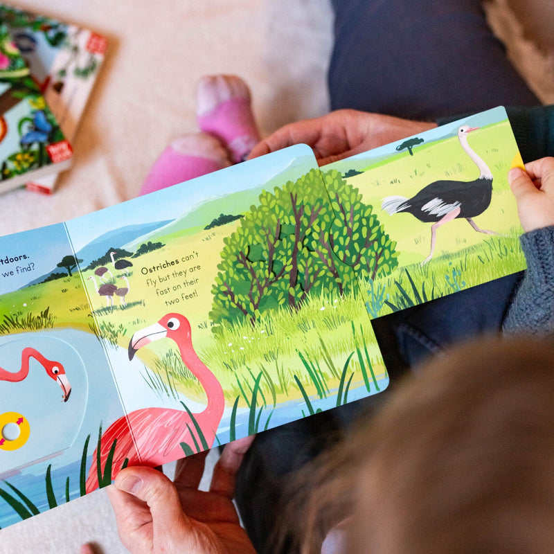 Birds Big Outdoors for Little Explorers (Board Book) by Anne-Kathrin Behl Slide Book Interactive Kids Picture Book