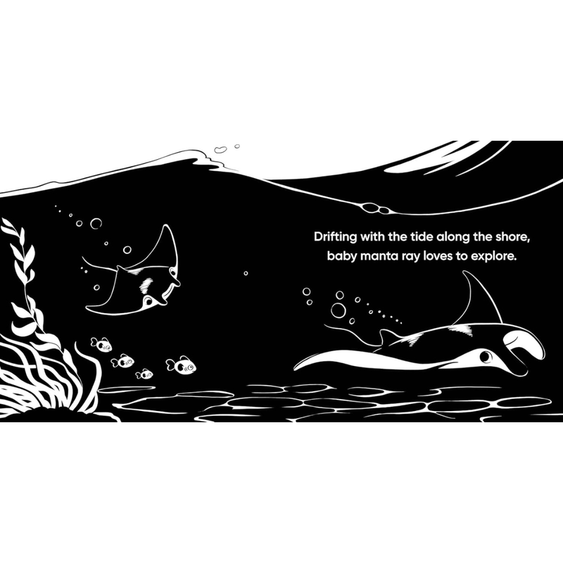 Aussie Beach Babies A High Contrast Black and White (Board Book) by Jess Black Baby Book