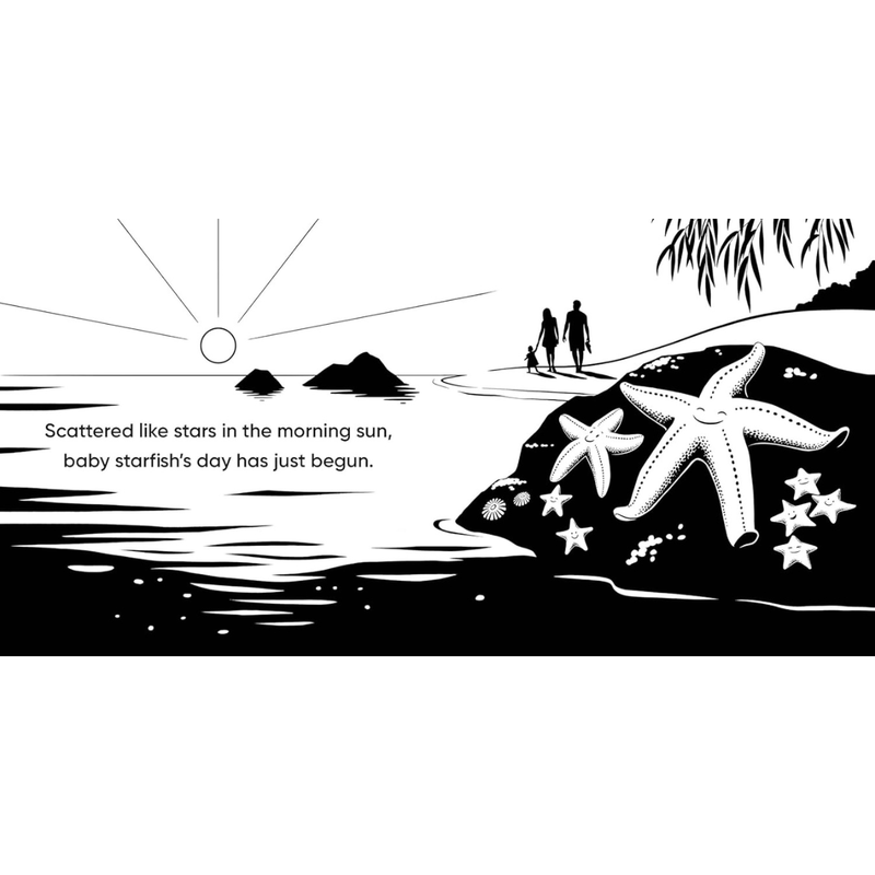 Aussie Beach Babies A High Contrast Black and White (Board Book) by Jess Black Baby Book