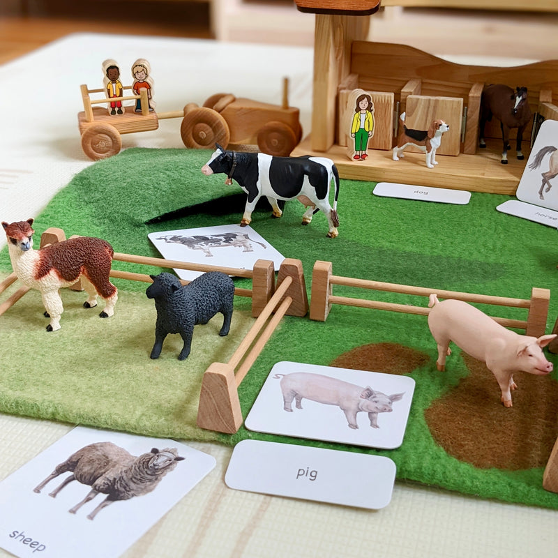 Montessori 3 Part Cards Nomenclature Farm English