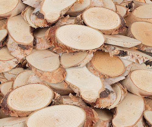 Branch Cuts Ovals 330g Nature Play Tools and Toys