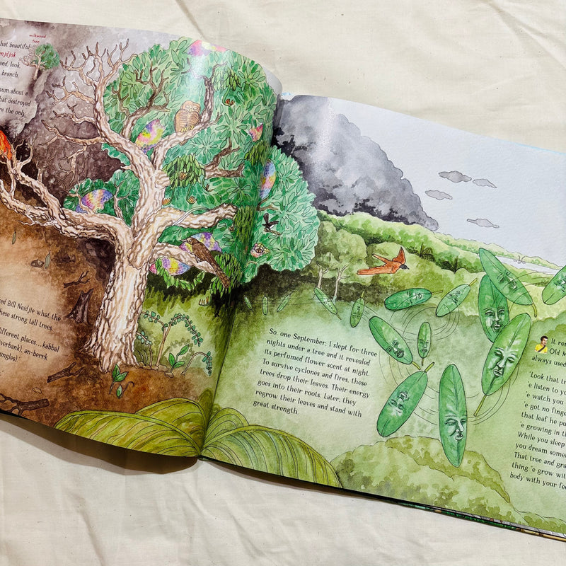 Walking In Gagudju Country: Exploring the Monsoon Forest by Diane Lucas, Ben Tyler, and Emma Long (Hardcover) Australian Animals First Nations Book Kids Book