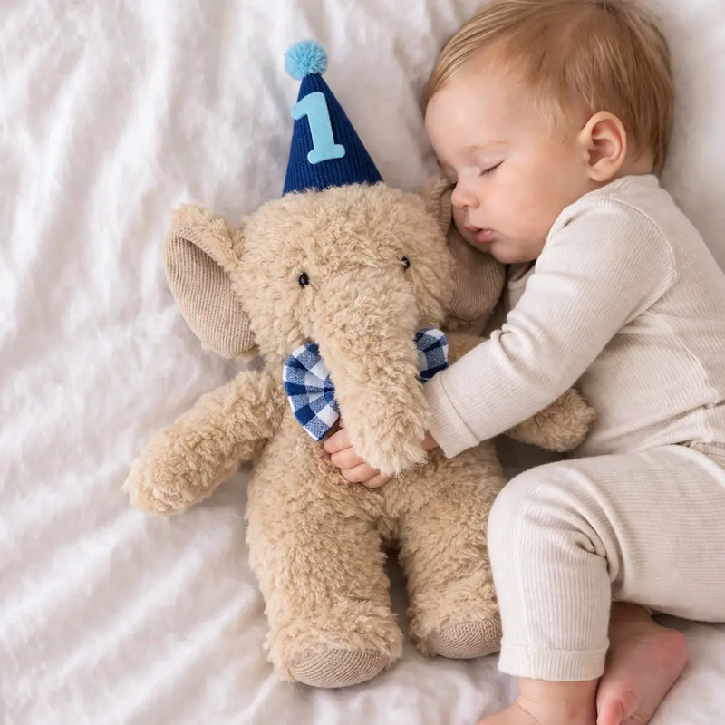 Harold the Party Elephant Soft Plush Toy 30cm Gift Idea for Baby and Toddlers 0m+