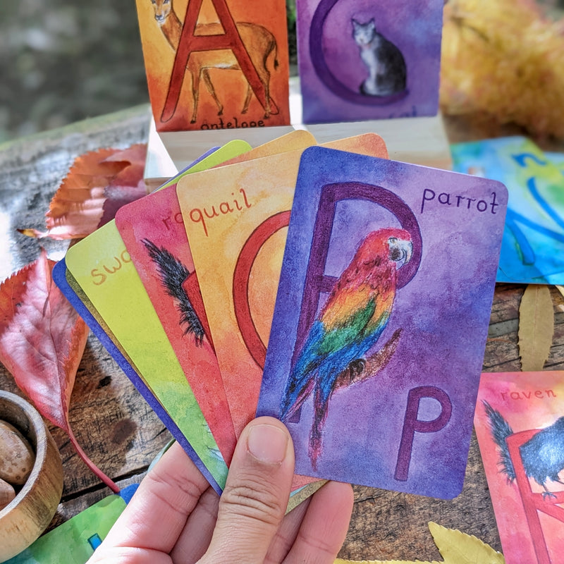 Grimm's Waldorf Education Alphabet Cards 48 Cards Early Literacy Cognitive Language Phonics 3yrs+