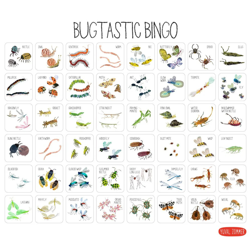 Bugtastic Bingo by Yuval Zommer Matching Board Card Game for kids Bug Toys 4yrs+