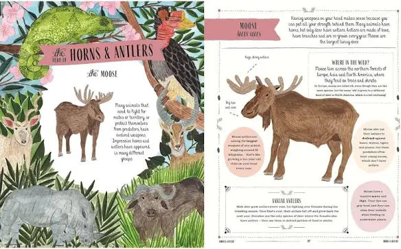 Wild (Hardcover) Kid’s Picture Book Gift Idea for 7yrs+
