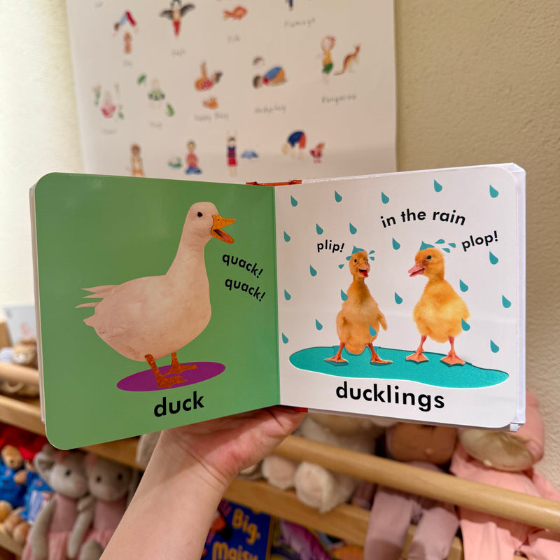 Baby Touch and Feel Farm Animals (Board Book) Kids Book Baby Gifts Idea
