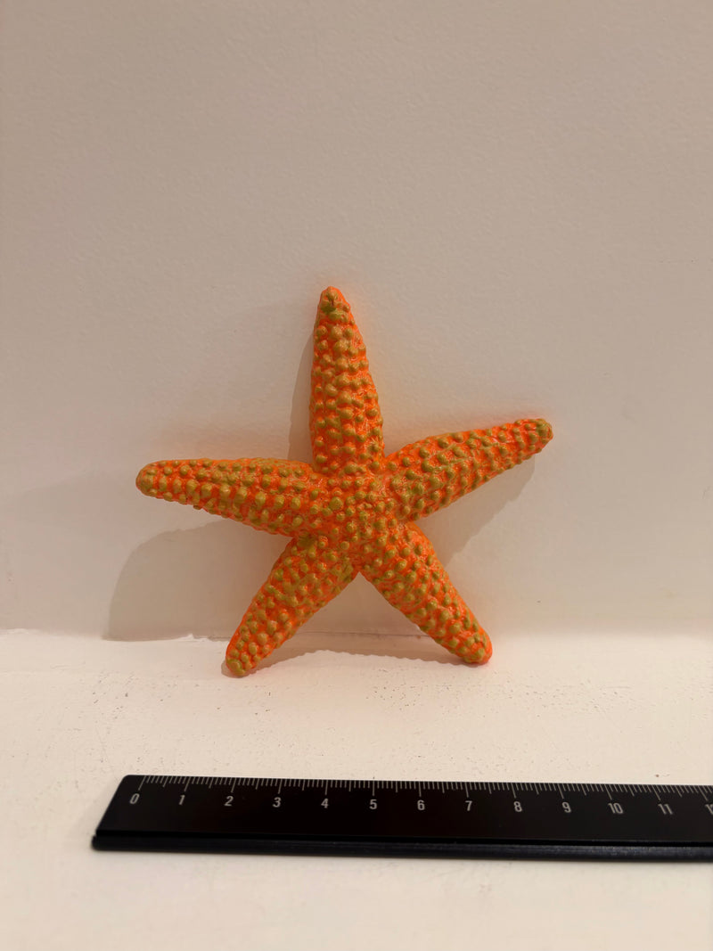 Starfish Figurine by Safari Ltd Sea Life Collection Animal Figurines 3yrs+
