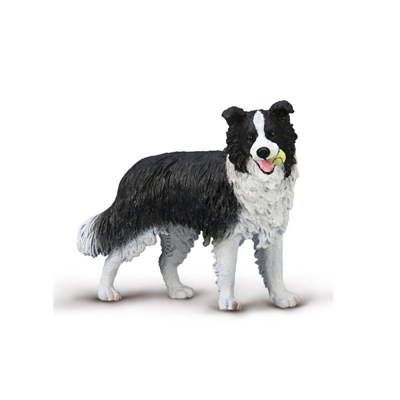 Border Collie Figurine by CollectA Cats & Dogs Collection Animal Figurines 3yrs+