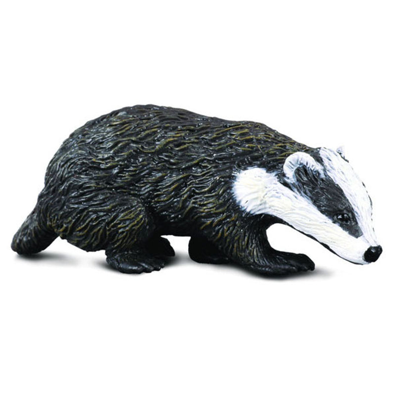 Eurasian Badger Figurine by CollectA Small European Wild Life Collection Animal Figurines 3yrs+